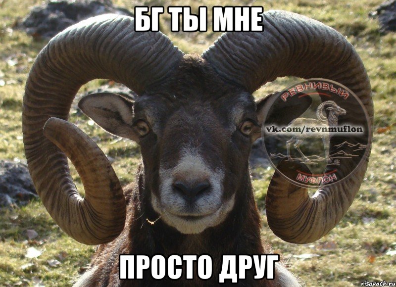 БГ ТЫ МНЕ ПРОСТО ДРУГ