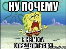 НУ ПОЧЕМУ Я НЕ МОГУ ОПРЕДЕЛИТЬСЯ?!, Мем Спанч Боб плачет