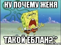 ну почему Женя такой еблан?:*, Мем Спанч Боб плачет