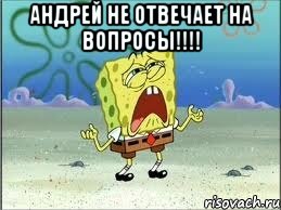 Андрей не отвечает на вопросы!!!! , Мем Спанч Боб плачет