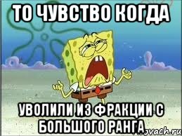 То чувство когда уволили из фракции с большого ранга, Мем Спанч Боб плачет