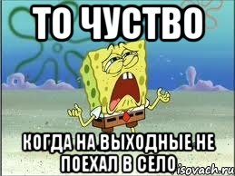 то чуство когда на выходные не поехал в село, Мем Спанч Боб плачет