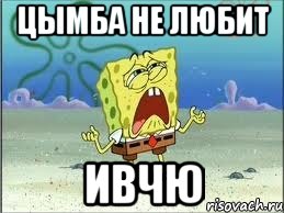 Цымба не любит Ивчю, Мем Спанч Боб плачет