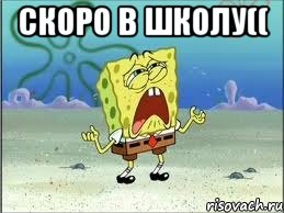 Скоро в школу(( , Мем Спанч Боб плачет