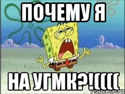 Почему я На УГМК?!((((, Мем Спанч Боб плачет