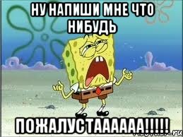 ну напиши мне что нибудь пожалустаааааа!!!!!, Мем Спанч Боб плачет