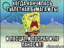 когда кончилась туалетная бумага и ты и посцал и посрал и по паносил!, Мем Спанч Боб плачет