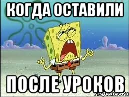 когда оставили после уроков, Мем Спанч Боб плачет