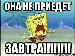 Она не приедет ЗАВТРА!!!!!!!!, Мем Спанч Боб плачет