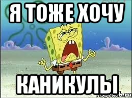 я тоже хочу каникулы, Мем Спанч Боб плачет
