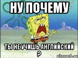 НУ ПОЧЕМУ ТЫ НЕ УЧИШЬ АНГЛИЙСКИЙ ?, Мем Спанч Боб плачет