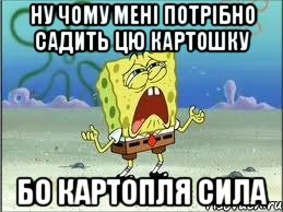 Ну чому мені потрібно садить цю картошку бО картопля СИЛА, Мем Спанч Боб плачет