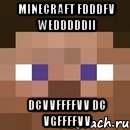 MINECRAFT Fdddfv Wedddddii Dcvvffffvv Dc vgffffvv, Мем стив