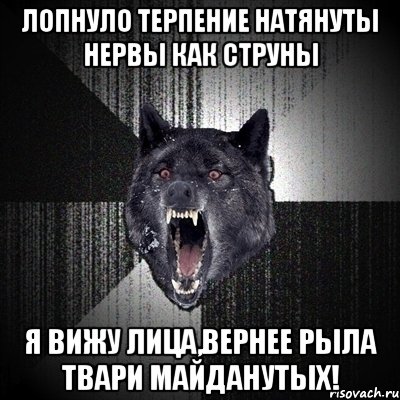 Лопнуло терпение натянуты нервы как струны Я вижу лица,вернее рыла твари майданутых!, Мем Сумасшедший волк