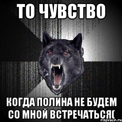 ТО ЧУВСТВО кОГДА ПОЛИНА НЕ БУДЕМ СО МНОЙ ВСТРЕЧАТЬСЯ(, Мем Сумасшедший волк