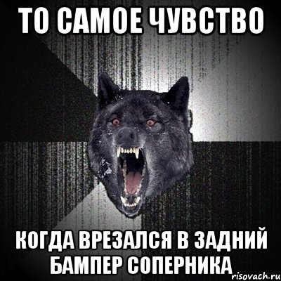 То самое чувство когда врезался в задний бампер соперника, Мем Сумасшедший волк