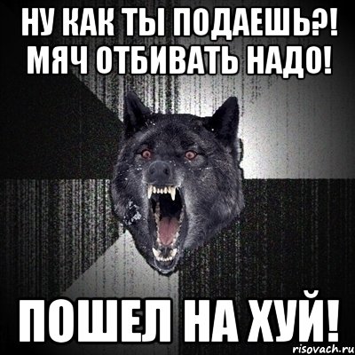 Ну как ты подаешь?! Мяч отбивать надо! Пошел на хуй!, Мем Сумасшедший волк