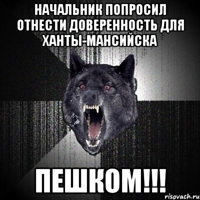 Начальник попросил отнести доверенность для Ханты-Мансийска ПЕШКОМ!!!