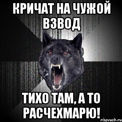 Кричат на чужой взвод Тихо там, а то расчехмарю!, Мем Сумасшедший волк