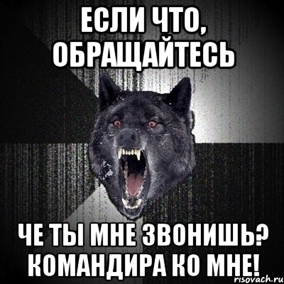 Если что, обращайтесь Че ты мне звонишь? Командира ко мне!, Мем Сумасшедший волк