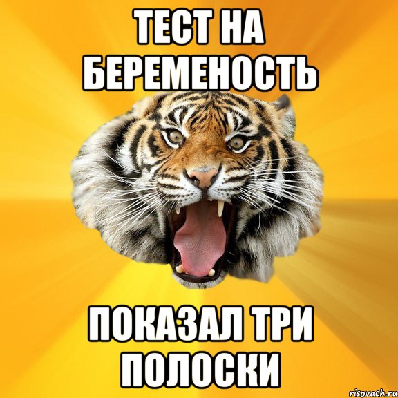 тест на беременость показал три полоски, Мем СУМАСШЕДШИЙ ТИГР