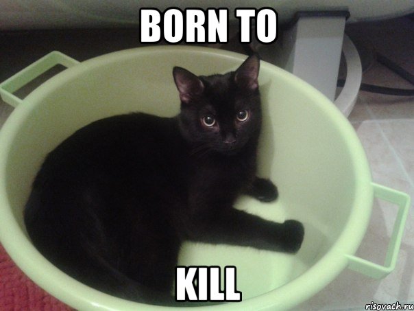 BORN TO KILL