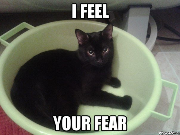 I FEEL YOUR FEAR