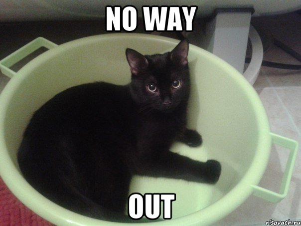NO WAY OUT