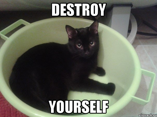 DESTROY YOURSELF