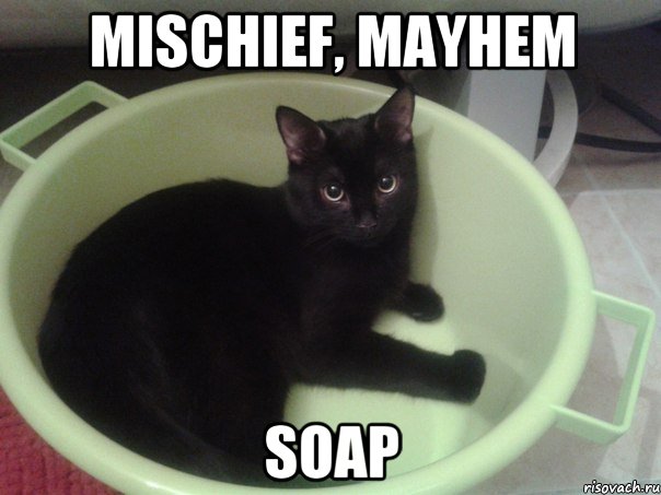 MISCHIEF, MAYHEM SOAP