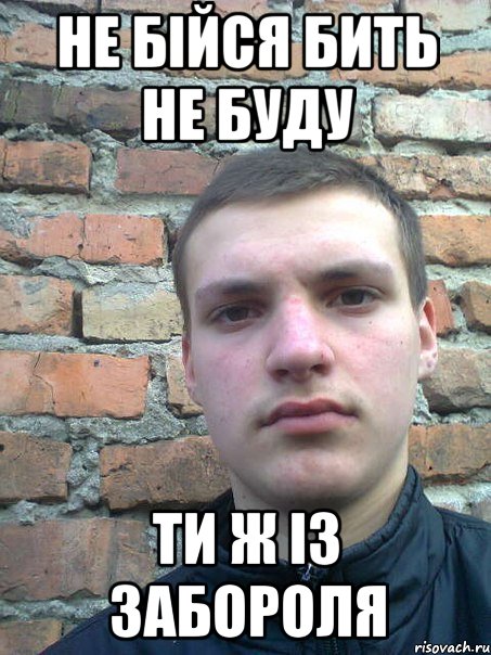 не бійся бить не буду ти ж із забороля