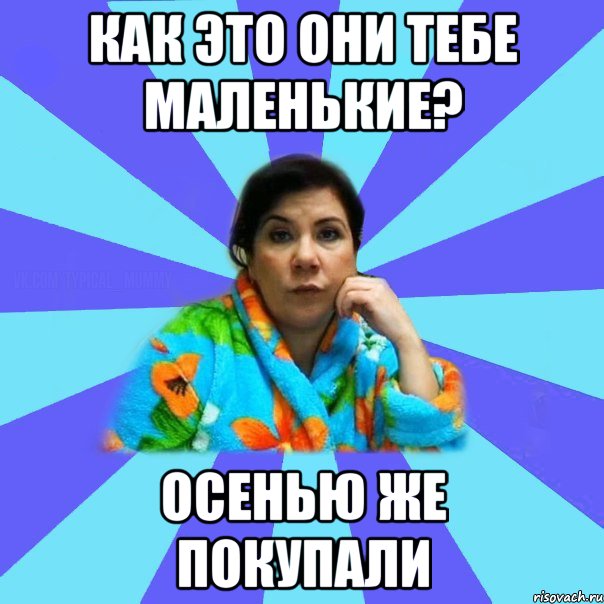 Как это они тебе маленькие? Осенью же покупали, Мем типичная мама