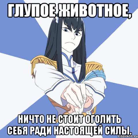 Глупое животное, Ничто не стоит оголить себя ради НАСТОЯЩЕЙ СИЛЫ.