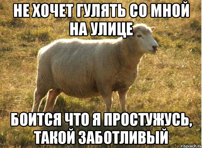 Не хочет гулять со мной на улице Боится что я простужусь, такой заботливый, Мем Типичная овца