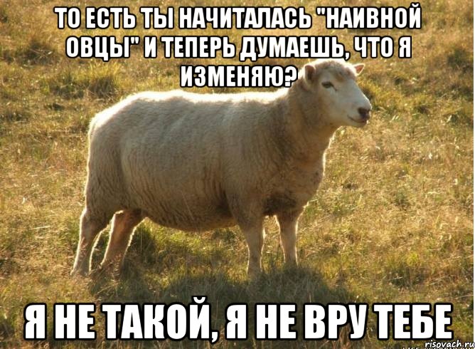 то есть ты начиталась "Наивной Овцы" и теперь думаешь, что я изменяю? Я не такой, я не вру тебе, Мем Типичная овца