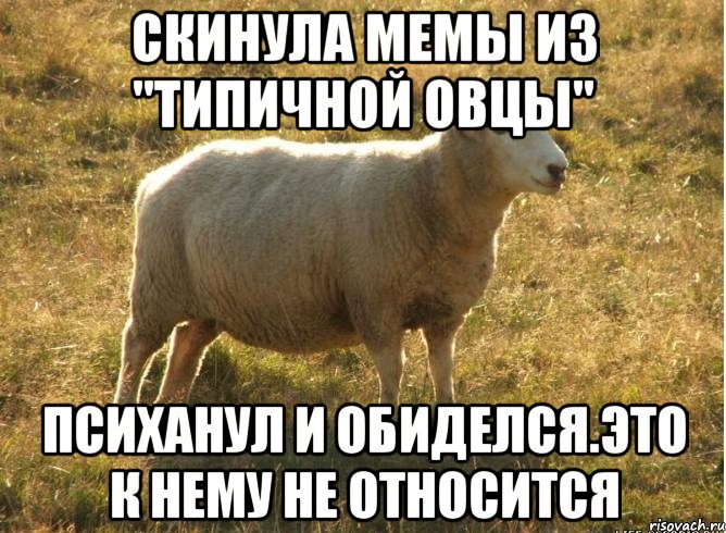 скинула мемы из "типичной овцы" психанул и обиделся.Это к нему не относится, Мем Типичная овца