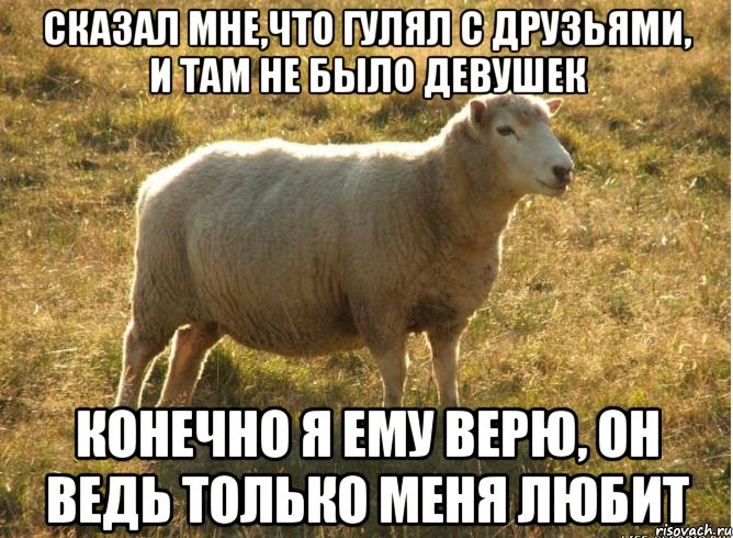 сказал мне,что гулял с друзьями, и там не было девушек Конечно я ему верю, он ведь только меня любит, Мем Типичная овца