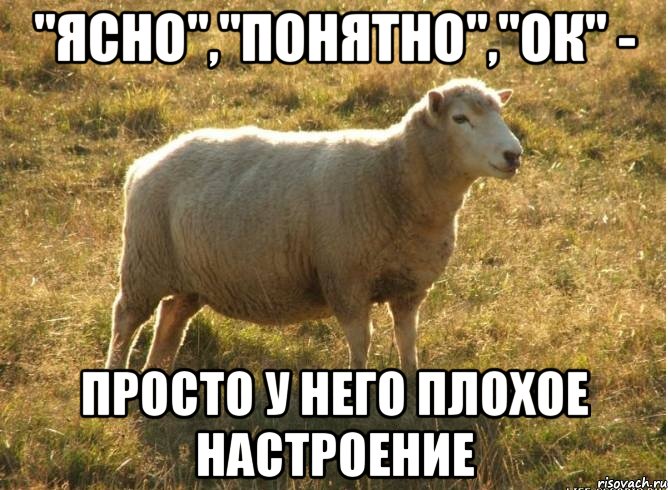 "ясно","понятно","ок" - просто у него плохое настроение, Мем Типичная овца