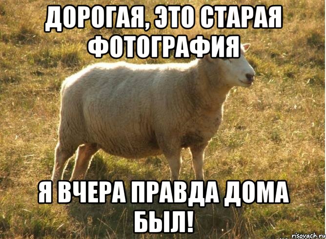 Дорогая, это старая фотография Я вчера правда дома был!