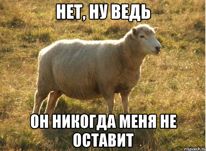 Нет, ну ведь Он никогда меня не оставит, Мем Типичная овца