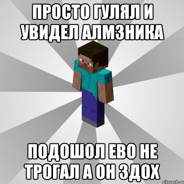 просто гулял и увидел алмзника подошол ево не трогал а он здох, Мем Типичный игрок Minecraft