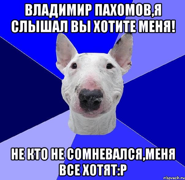 Владимир Пахомов,я слышал вы хотите меня! Не кто не сомневался,меня все хотят:р