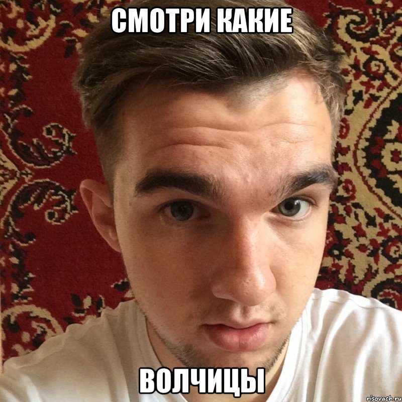 смотри какие волчицы