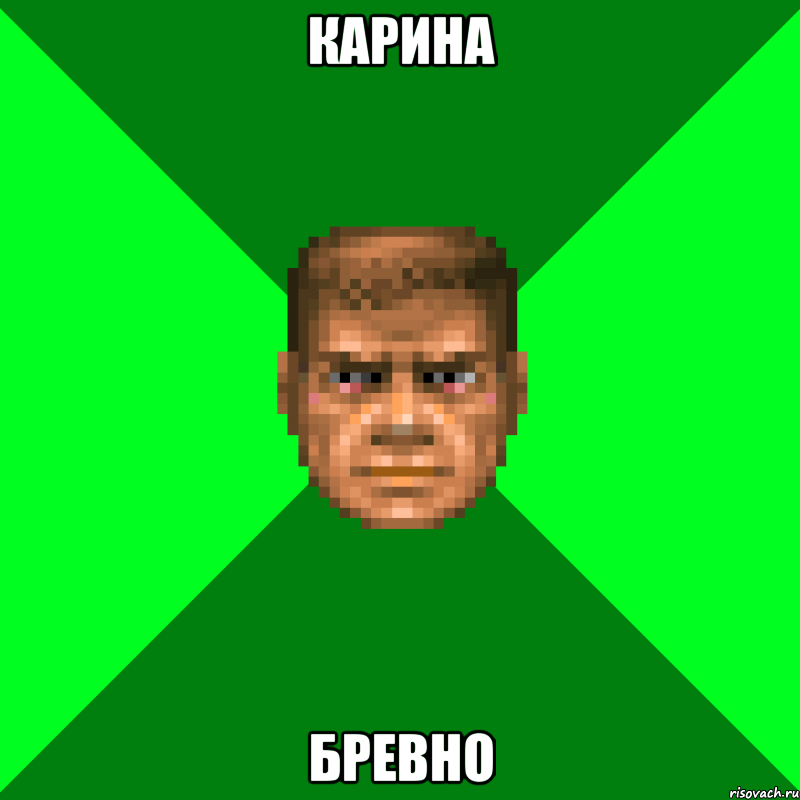 карина бревно