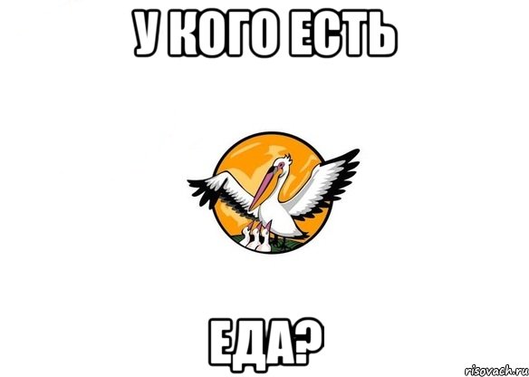у кого есть еда?
