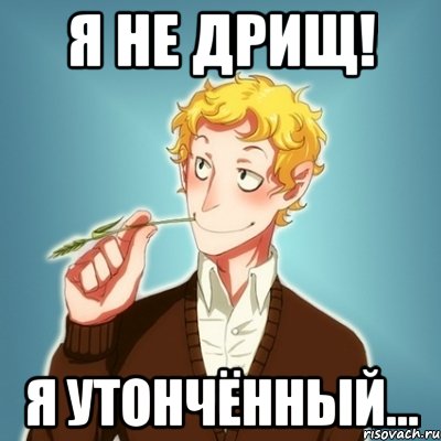 Я НЕ ДРИЩ! Я утончённый..., Мем Типичный Есенин