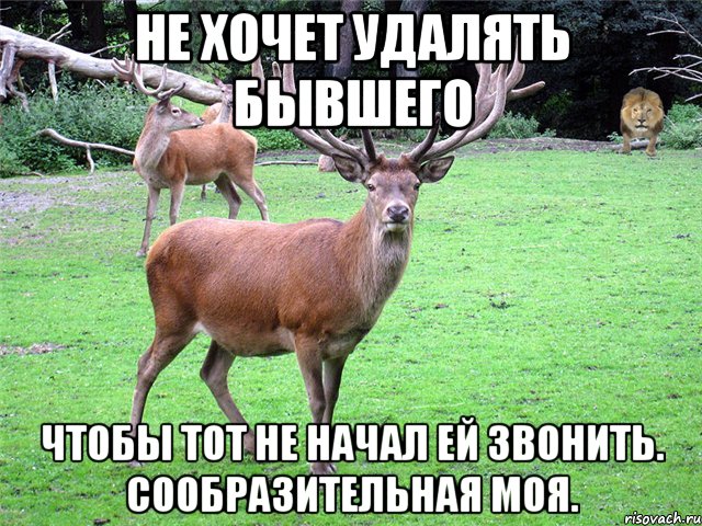 Не хочет удалять бывшего чтобы тот не начал ей звонить. Сообразительная моя.