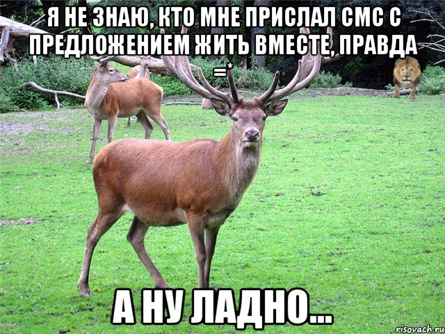 Я не знаю, кто мне прислал смс с предложением жить вместе, правда =* А ну ладно...