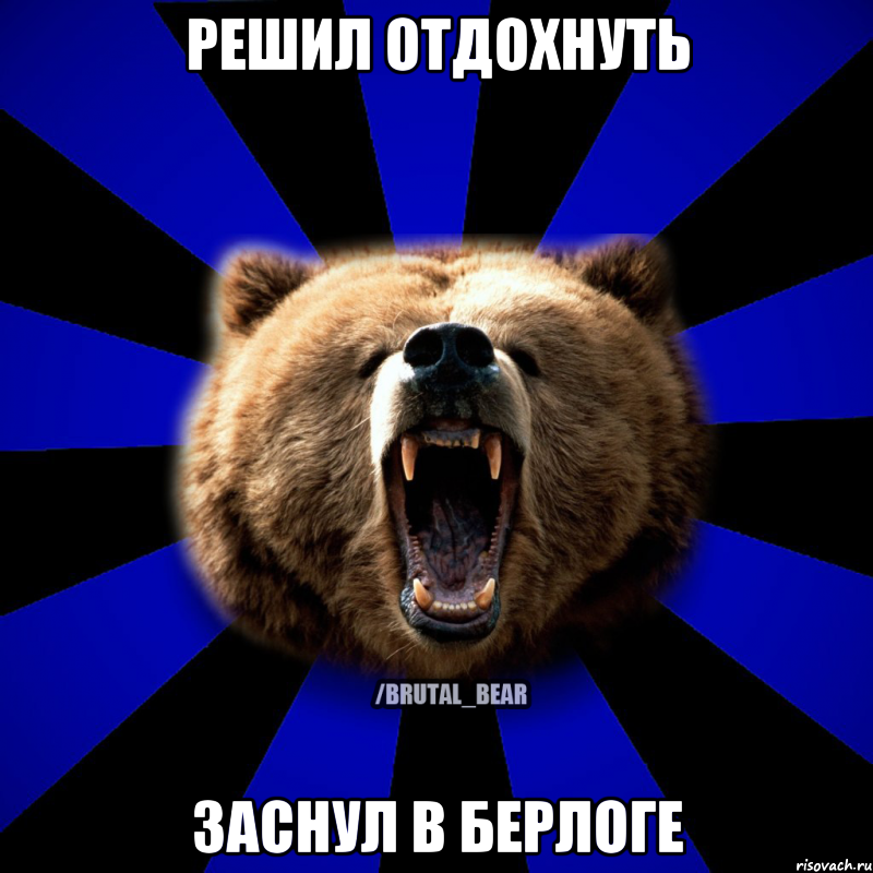 решил отдохнуть заснул в берлоге