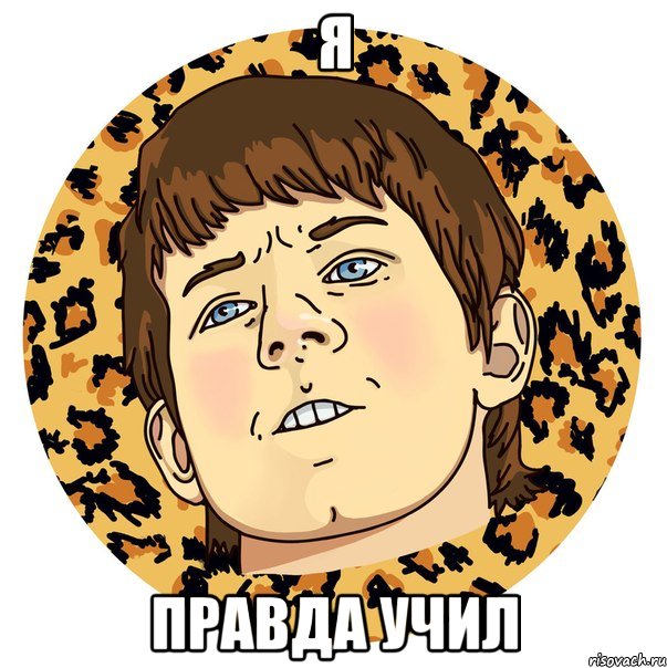 Я ПРАВДА УЧИЛ